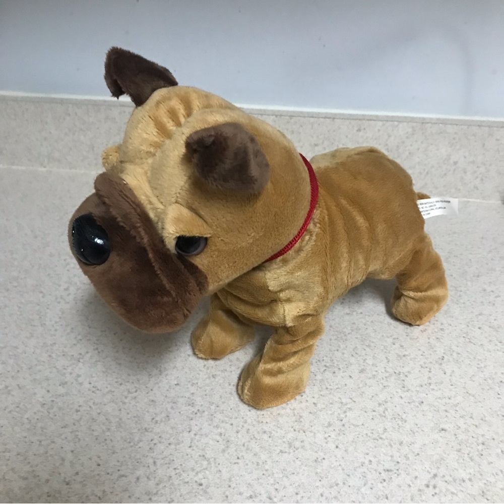 NWT Multifunction dog toy.
